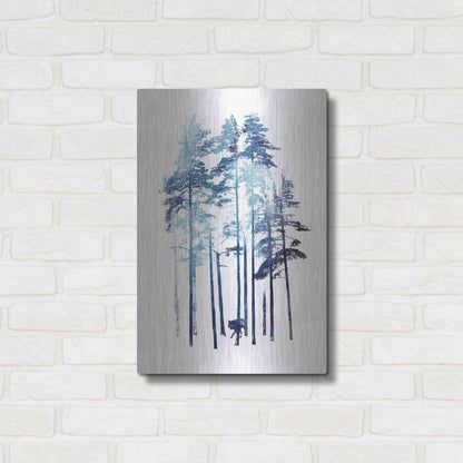 Luxe Metal Art 'Winter Wolf' by Robert Farkas, Metal Wall Art,16x24