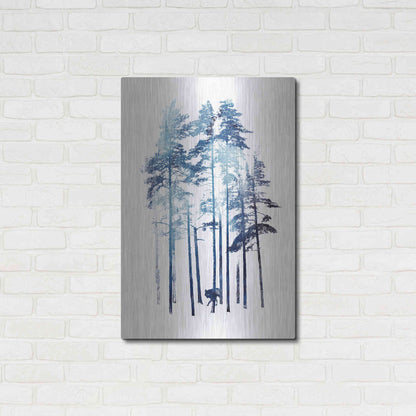 Luxe Metal Art 'Winter Wolf' by Robert Farkas, Metal Wall Art,24x36