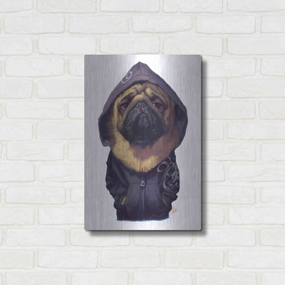 Luxe Metal Art 'Homie' by Thomas Fluharty, Metal Wall Art,16x24