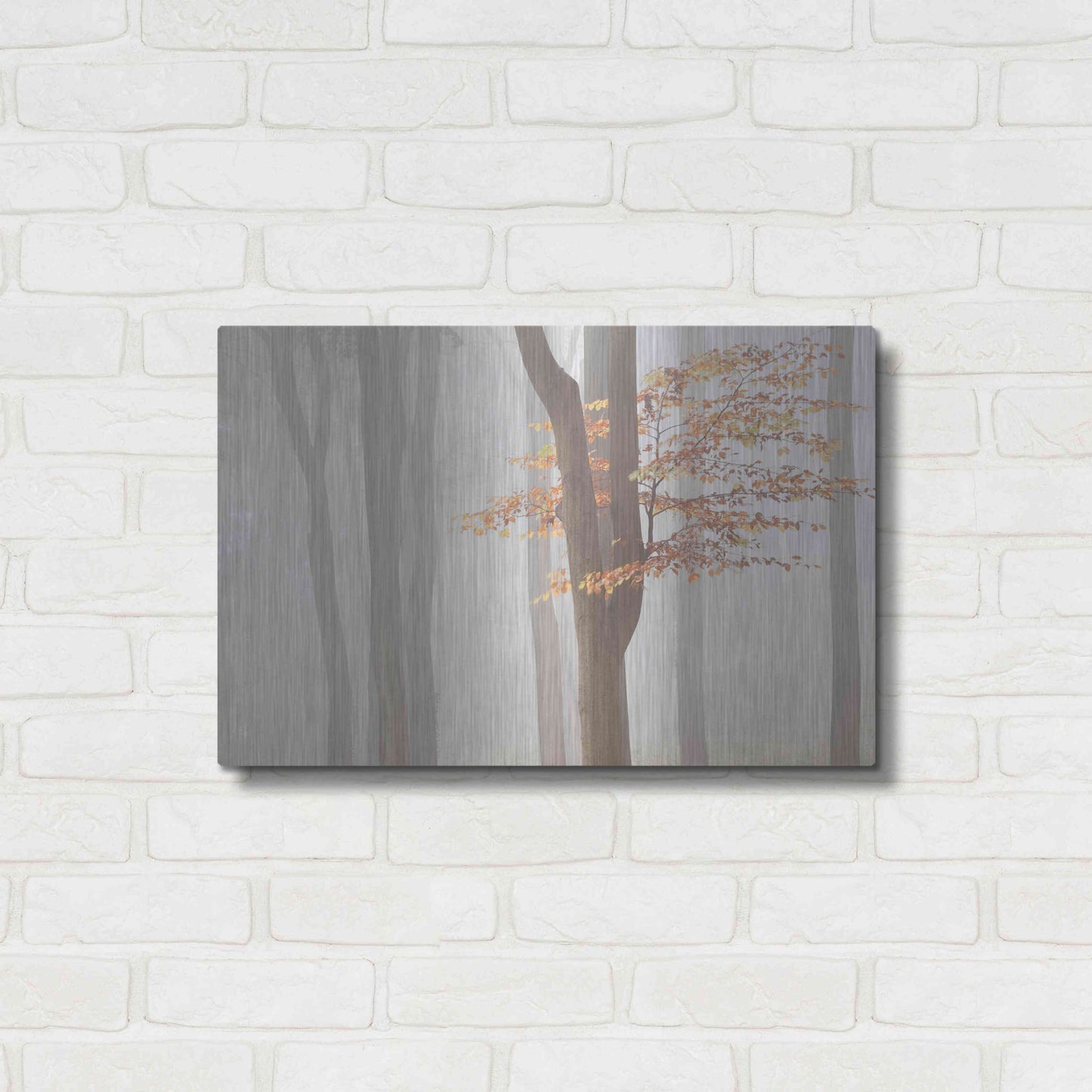 Luxe Metal Art 'Arnhem Park Zypendaal' by Wilco Dragt, Metal Wall Art,24x16