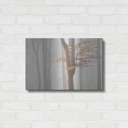 Luxe Metal Art 'Arnhem Park Zypendaal' by Wilco Dragt, Metal Wall Art,24x16