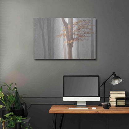 Luxe Metal Art 'Arnhem Park Zypendaal' by Wilco Dragt, Metal Wall Art,36x24