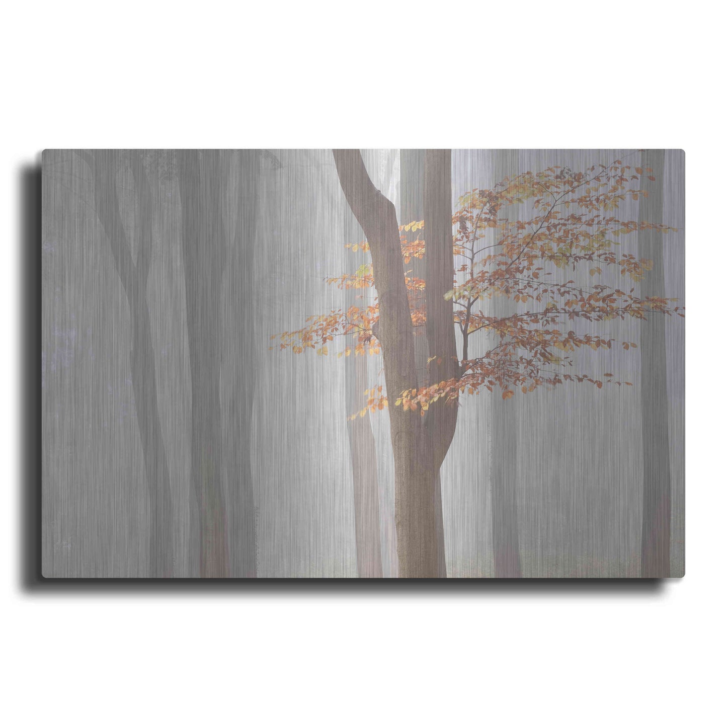 Luxe Metal Art 'Arnhem Park Zypendaal' by Wilco Dragt, Metal Wall Art