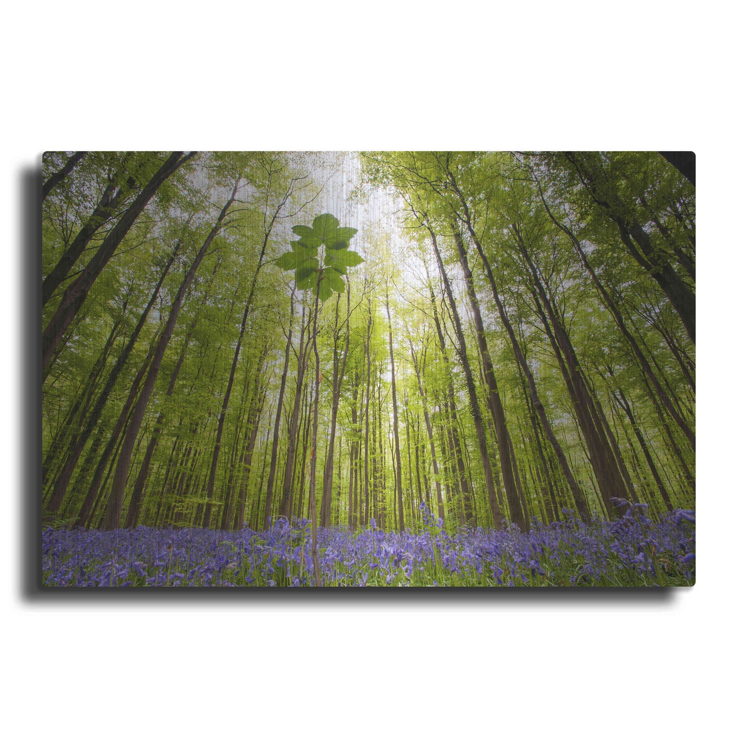 Luxe Metal Art 'Hallerbos' by Wilco Dragt, Metal Wall Art