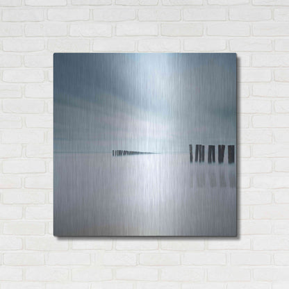 Luxe Metal Art 'Whispering' by Wilco Dragt, Metal Wall Art,36x36