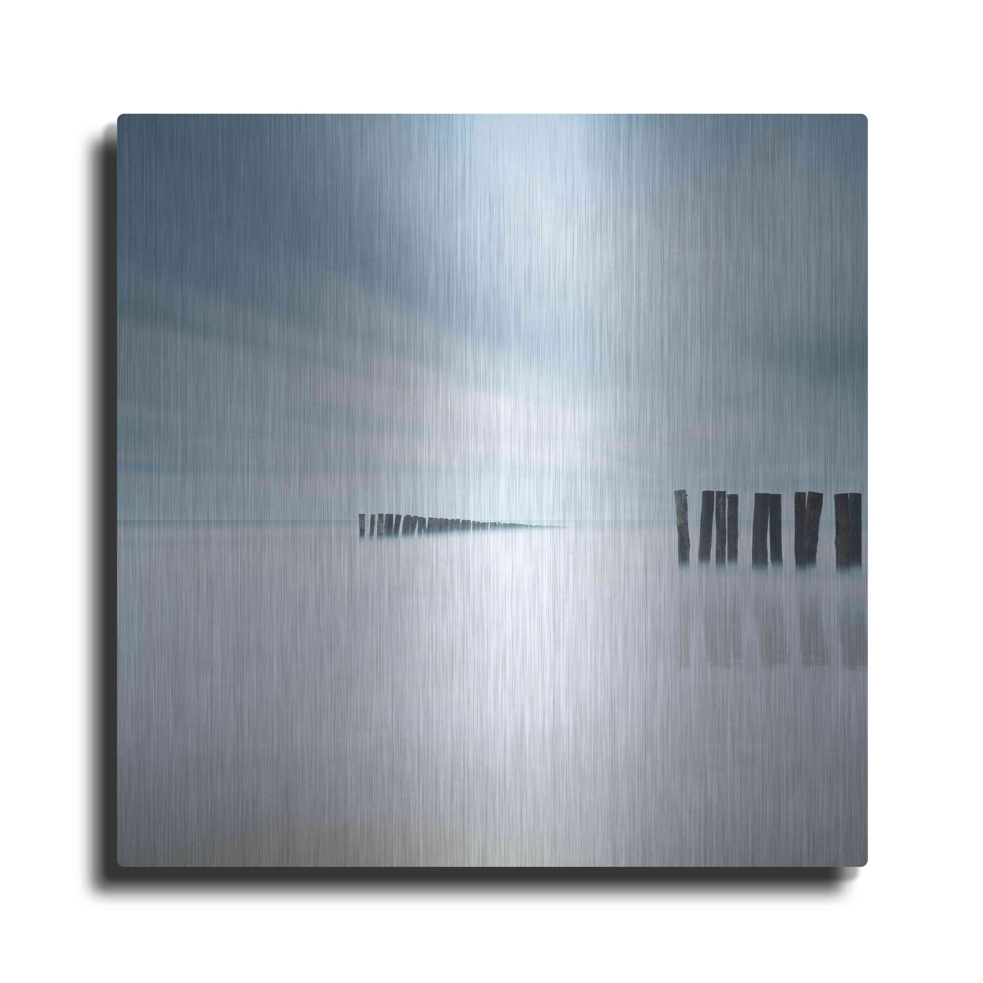 Luxe Metal Art 'Whispering' by Wilco Dragt, Metal Wall Art