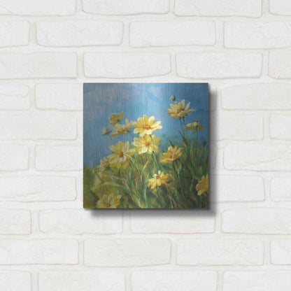 Luxe Metal Art 'Summer Field I' by Danhui Nai, Metal Wall Art,12x12