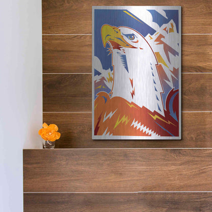 Luxe Metal Art 'Eagle' by David Chestnutt, Metal Wall Art,12x16