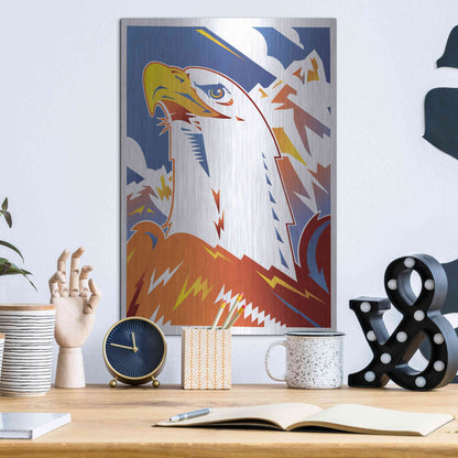 Luxe Metal Art 'Eagle' by David Chestnutt, Metal Wall Art,12x16