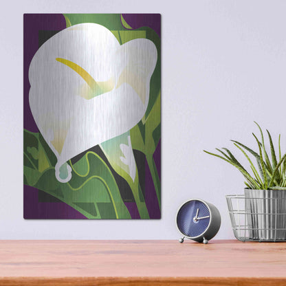 Luxe Metal Art 'Calla Lily' by David Chestnutt, Metal Wall Art,12x16