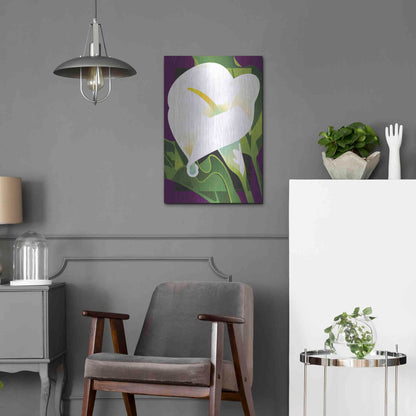 Luxe Metal Art 'Calla Lily' by David Chestnutt, Metal Wall Art,16x24