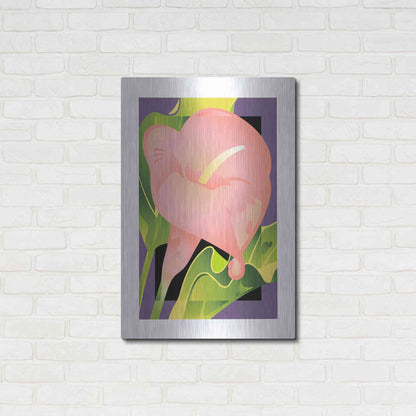 Luxe Metal Art 'Calla Pink' by David Chestnutt, Metal Wall Art,24x36