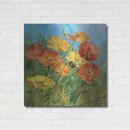 Luxe Metal Art 'Summer Field IV' by Danhui Nai, Metal Wall Art,36x36