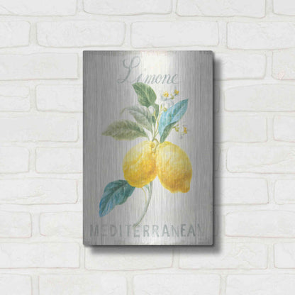 Luxe Metal Art 'Floursack Lemon III' by Danhui Nai, Metal Wall Art,12x16