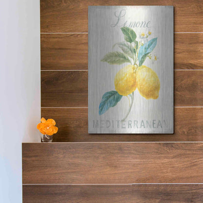 Luxe Metal Art 'Floursack Lemon III' by Danhui Nai, Metal Wall Art,12x16