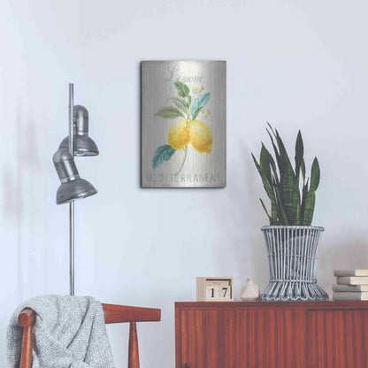 Luxe Metal Art 'Floursack Lemon III' by Danhui Nai, Metal Wall Art,16x24
