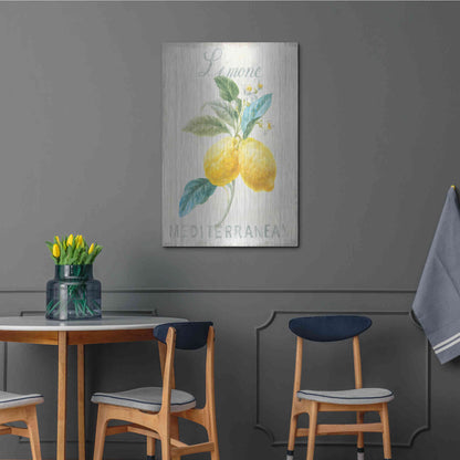 Luxe Metal Art 'Floursack Lemon III' by Danhui Nai, Metal Wall Art,24x36