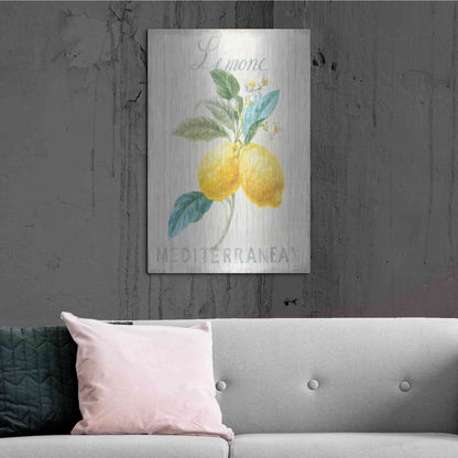 Luxe Metal Art 'Floursack Lemon III' by Danhui Nai, Metal Wall Art,24x36