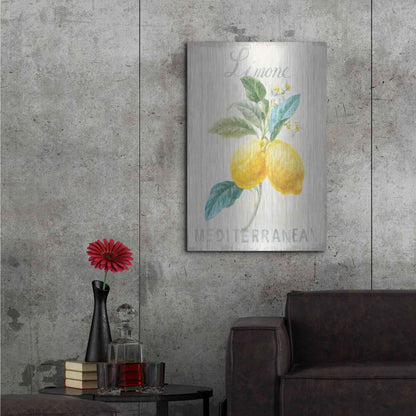 Luxe Metal Art 'Floursack Lemon III' by Danhui Nai, Metal Wall Art,24x36