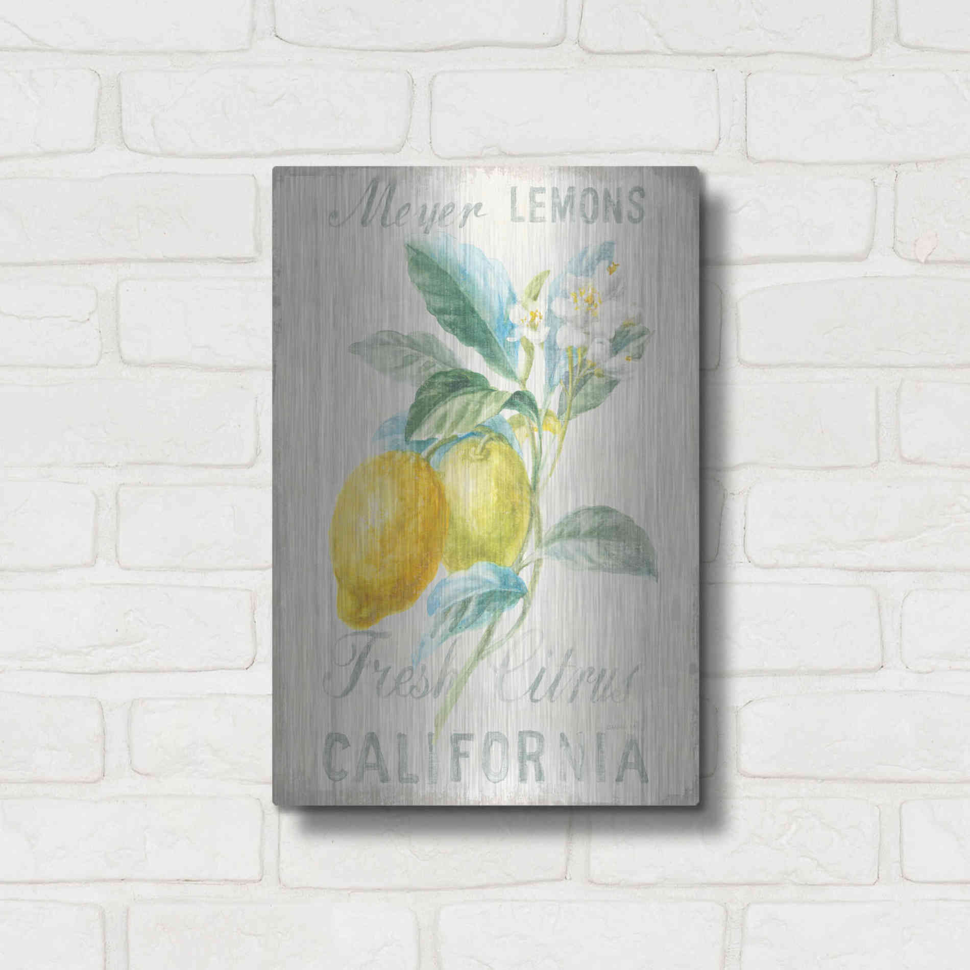 Luxe Metal Art 'Floursack Lemon II' by Danhui Nai, Metal Wall Art,12x16