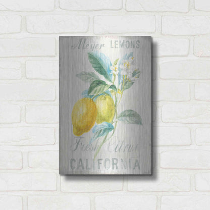 Luxe Metal Art 'Floursack Lemon II' by Danhui Nai, Metal Wall Art,12x16