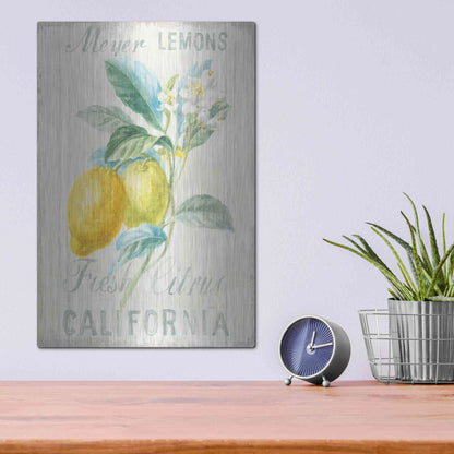 Luxe Metal Art 'Floursack Lemon II' by Danhui Nai, Metal Wall Art,12x16