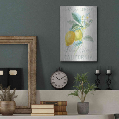 Luxe Metal Art 'Floursack Lemon II' by Danhui Nai, Metal Wall Art,12x16