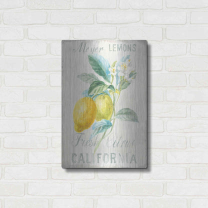 Luxe Metal Art 'Floursack Lemon II' by Danhui Nai, Metal Wall Art,16x24