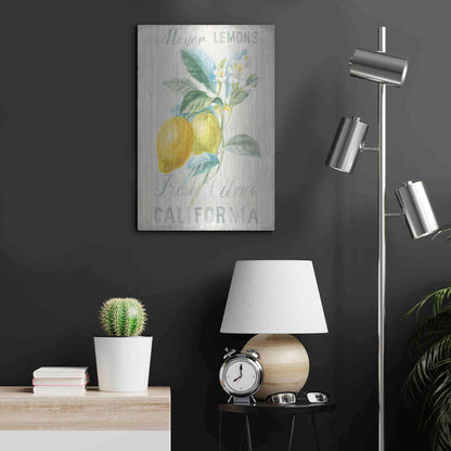 Luxe Metal Art 'Floursack Lemon II' by Danhui Nai, Metal Wall Art,16x24