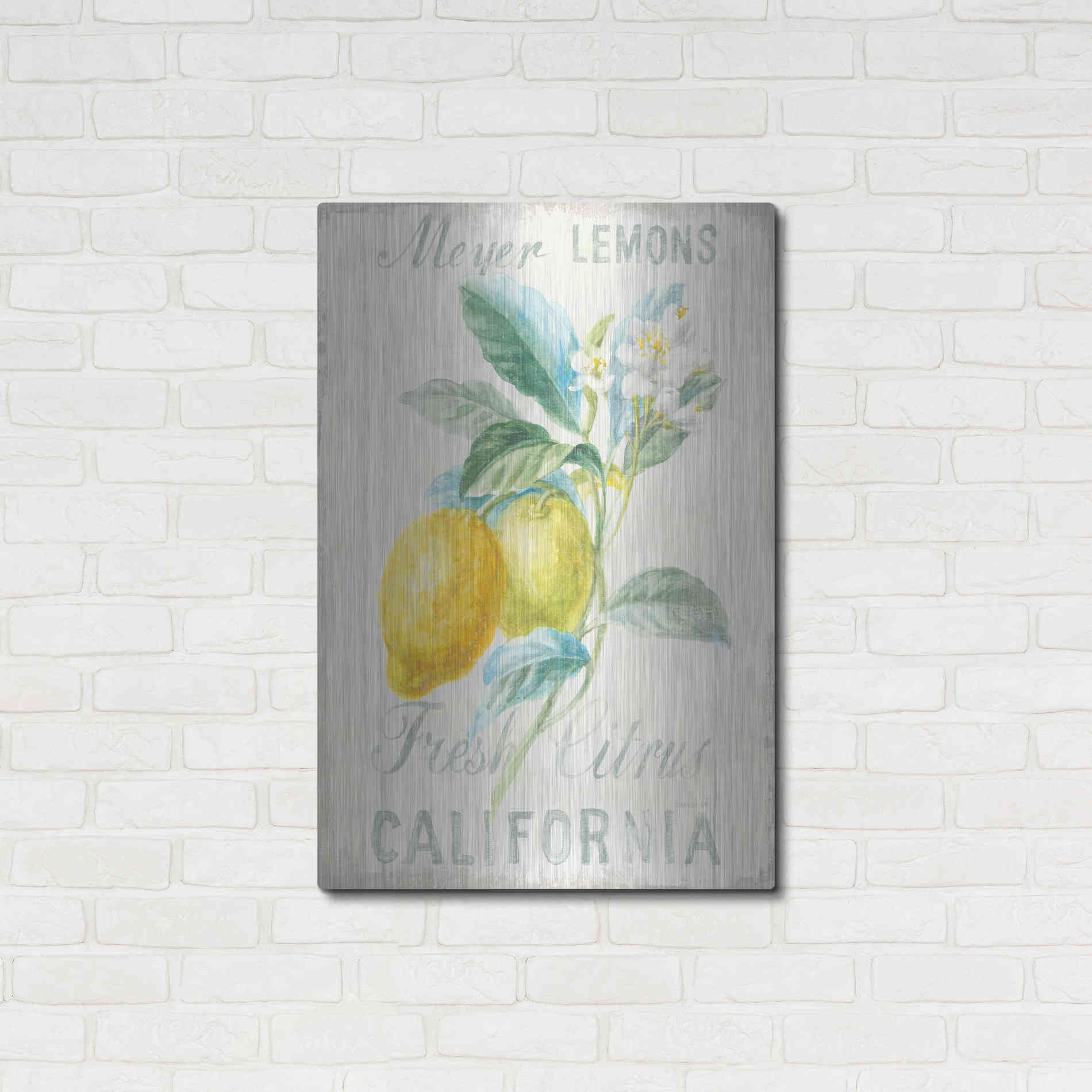 Luxe Metal Art 'Floursack Lemon II' by Danhui Nai, Metal Wall Art,24x36