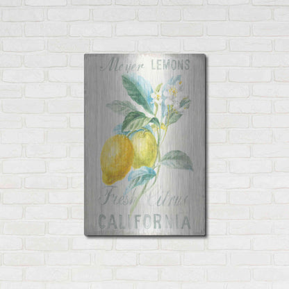 Luxe Metal Art 'Floursack Lemon II' by Danhui Nai, Metal Wall Art,24x36