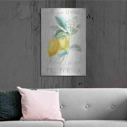 Luxe Metal Art 'Floursack Lemon II' by Danhui Nai, Metal Wall Art,24x36