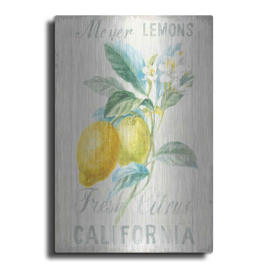 Luxe Metal Art 'Floursack Lemon II' by Danhui Nai, Metal Wall Art