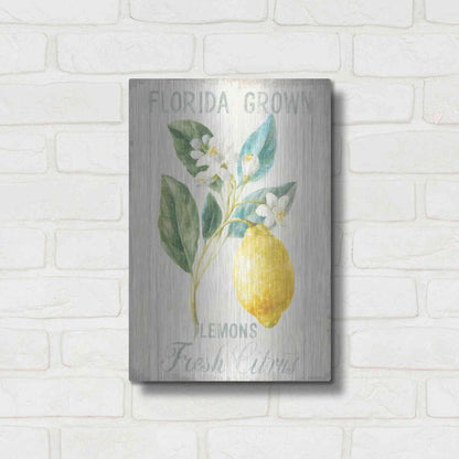Luxe Metal Art 'Floursack Lemon I' by Danhui Nai, Metal Wall Art,12x16