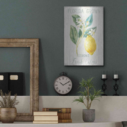 Luxe Metal Art 'Floursack Lemon I' by Danhui Nai, Metal Wall Art,12x16