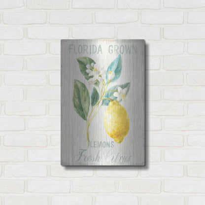 Luxe Metal Art 'Floursack Lemon I' by Danhui Nai, Metal Wall Art,16x24