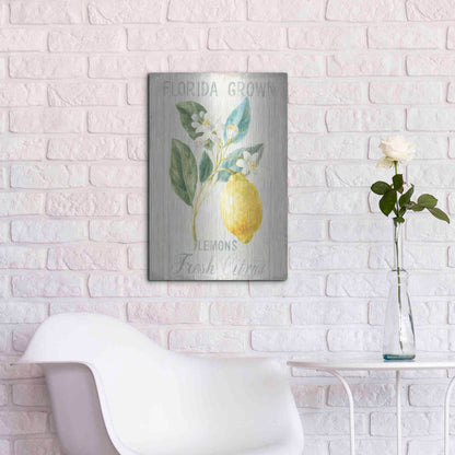 Luxe Metal Art 'Floursack Lemon I' by Danhui Nai, Metal Wall Art,16x24