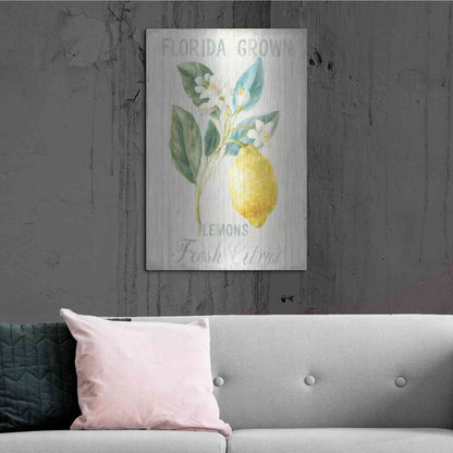 Luxe Metal Art 'Floursack Lemon I' by Danhui Nai, Metal Wall Art,24x36