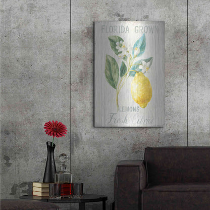 Luxe Metal Art 'Floursack Lemon I' by Danhui Nai, Metal Wall Art,24x36