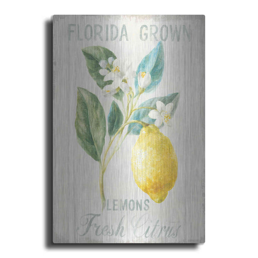 Luxe Metal Art 'Floursack Lemon I' by Danhui Nai, Metal Wall Art