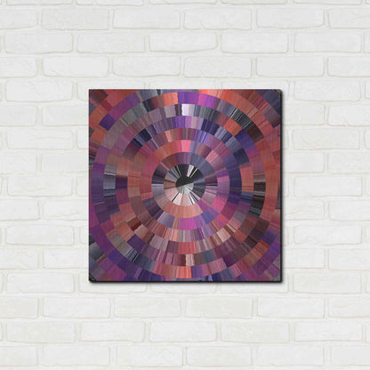 Luxe Metal Art 'Coral Radial 2' by David Manlove, Metal Wall Art,24x24