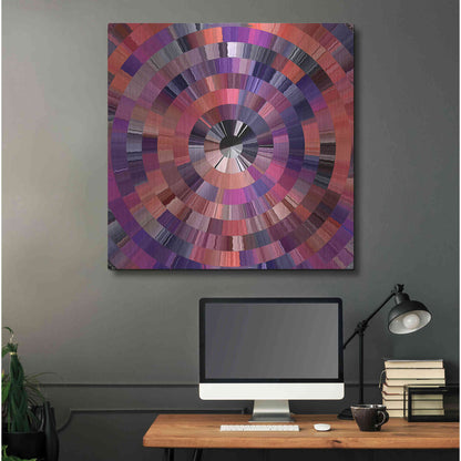 Luxe Metal Art 'Coral Radial 2' by David Manlove, Metal Wall Art,36x36