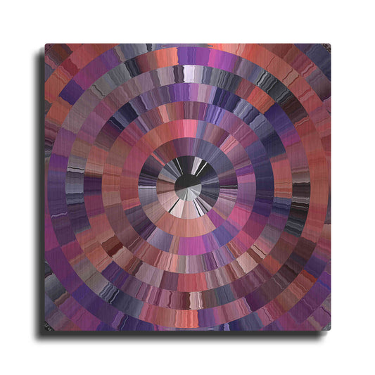 Luxe Metal Art 'Coral Radial 2' by David Manlove, Metal Wall Art