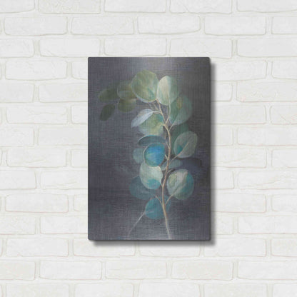 Luxe Metal Art 'Fresh II' by Danhui Nai, Metal Wall Art,16x24