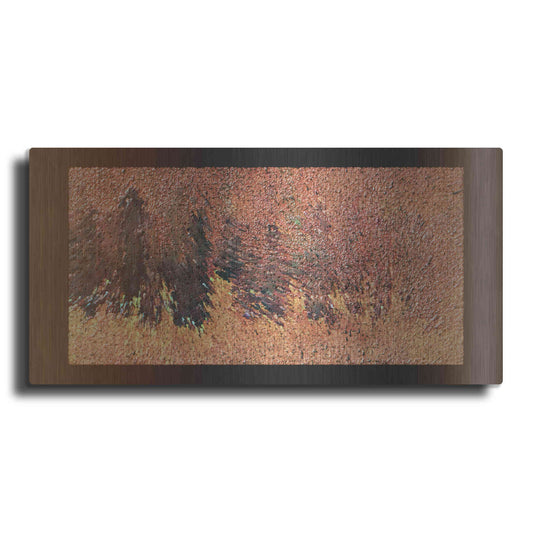 Luxe Metal Art 'Rust 2' by David Manlove, Metal Wall Art