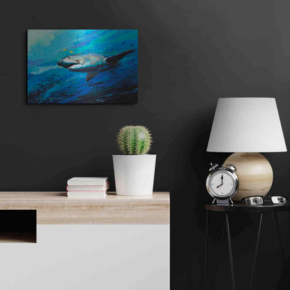 Luxe Metal Art 'The Mighty Bull Shark' by Jace D McTier, Metal Wall Art,24x16