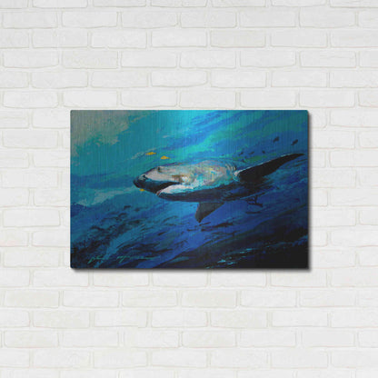 Luxe Metal Art 'The Mighty Bull Shark' by Jace D McTier, Metal Wall Art,36x24