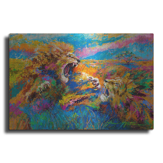 Luxe Metal Art 'Pride Fight in the Savanna African Lions' by Jace D McTier, Metal Wall Art