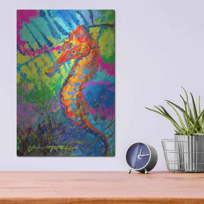 Luxe Metal Art 'Miniature Majesty of the Ocean Orange Caribbe' by Jace D McTier, Metal Wall Art,12x16