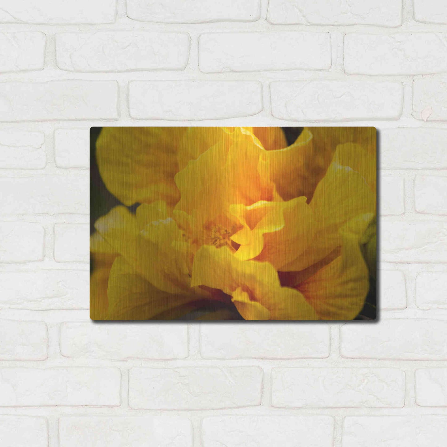 Luxe Metal Art 'Hibiscus Folds' by Chris Moyer, Metal Wall Art,16x12